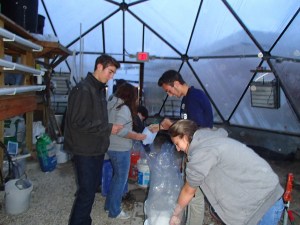 Acclimating the fish means giving them time to get used to the new water.